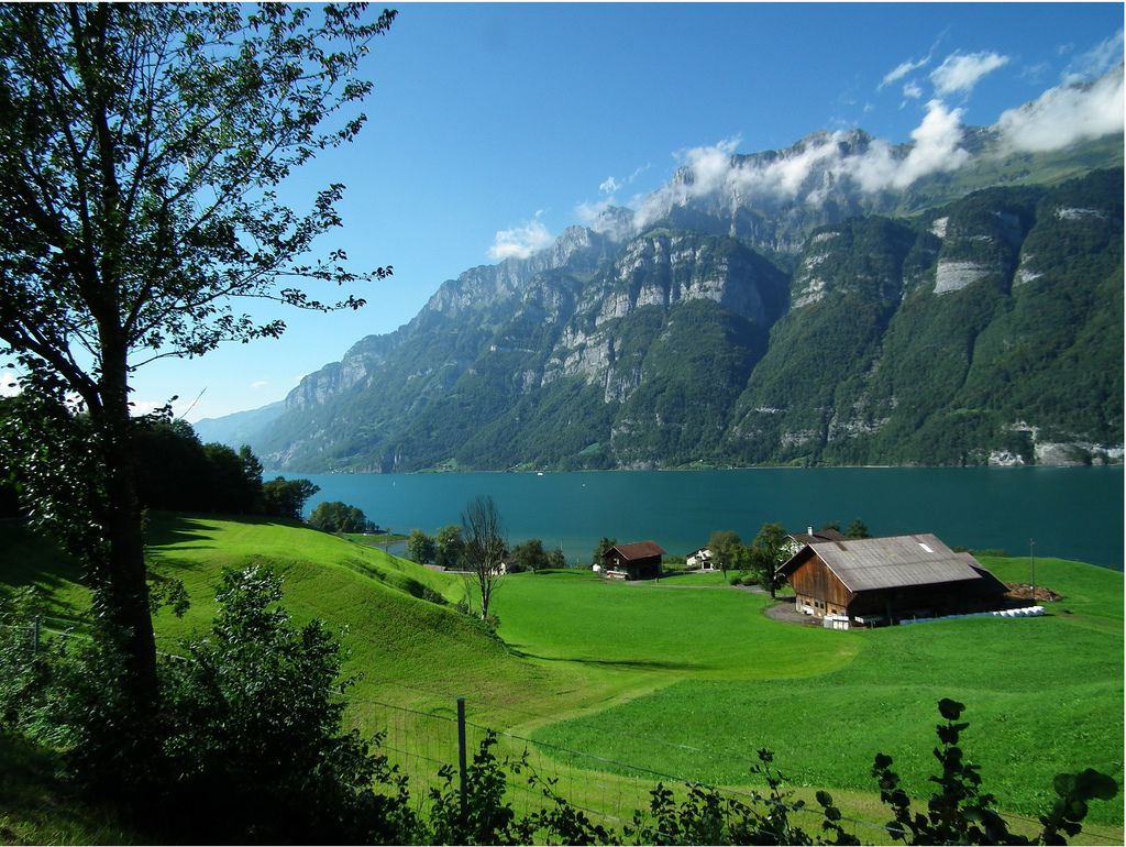 pushpenSarkar13's tweet photo. Walensee, Switzerland.
The Walensee, also known as Lake Walen or Lake Walenstadt from Walenstadt, is one of the larger lakes in Switzerland.
#travel #nature #beauty #art #like #explore #adventure #BeautifulWorld #photography https://t.co/GIXcCmyyiw