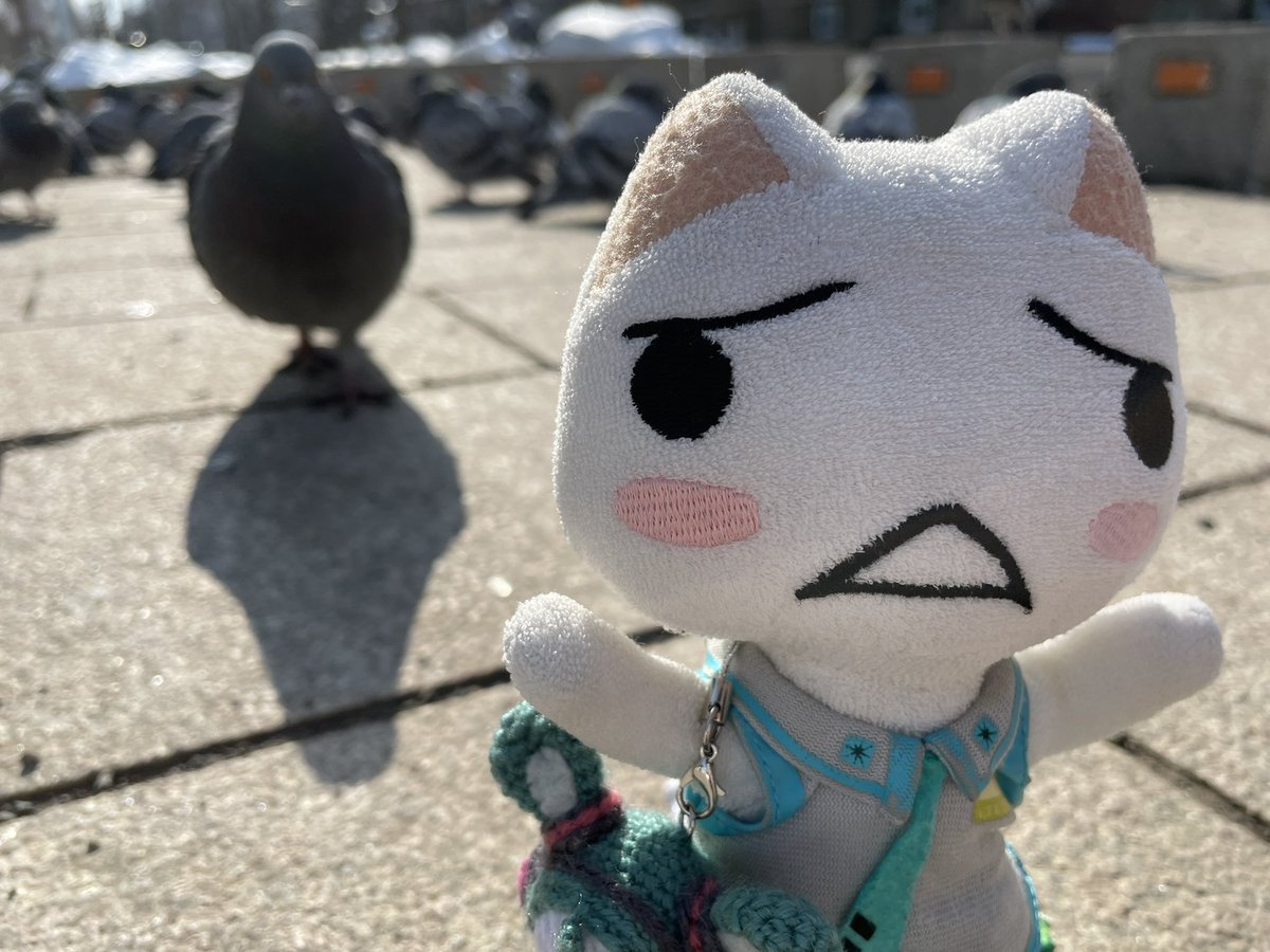 namitiトロ tweet media