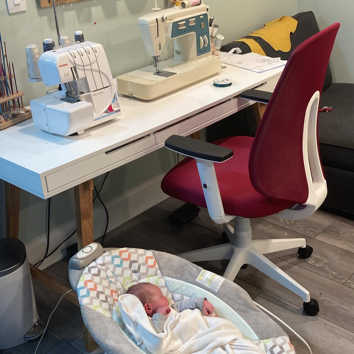 looksgoodtous's tweet photo. A little helper with me while I sew 🪡 

#sewing #sewingproject https://t.co/skAmPOkiHJ