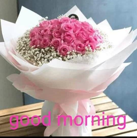 Good morning to all my friends. Have a beautiful day. Keep Smiling &amp; Happy Valentine's Day . Stay Healthy ❤❤❤ <a href="/Its_Kanchu/">Singu Ki Deewani</a> <a href="/search_in_me/">Search_In_Me</a> <a href="/PriyaBh06184550/">PRIYA BHATTACHARYA & VIDYUT JAMMWAL'S TEAM KOLKATA</a> @vidyuts_maniac <a href="/Khannashtakshi/">Vidyut's💖💖Shtakshi</a> <a href="/showanaj/">Showana J</a> <a href="/seeemaMiniji/">💞mInIjI❤💕</a> <a href="/pooja_0719/">Pooja Singh</a> <a href="/madhu01/">Madhumita 🇮🇳</a> <a href="/Narisha1139/">Nari.Sha 💞</a> <a href="/DrPriyaJmwalion/">JamwaLIONS Gujarat💫 Eternal love fo our SINGU💗💕</a> <a href="/jammwalion_girl/">Jammwalion_girl</a>