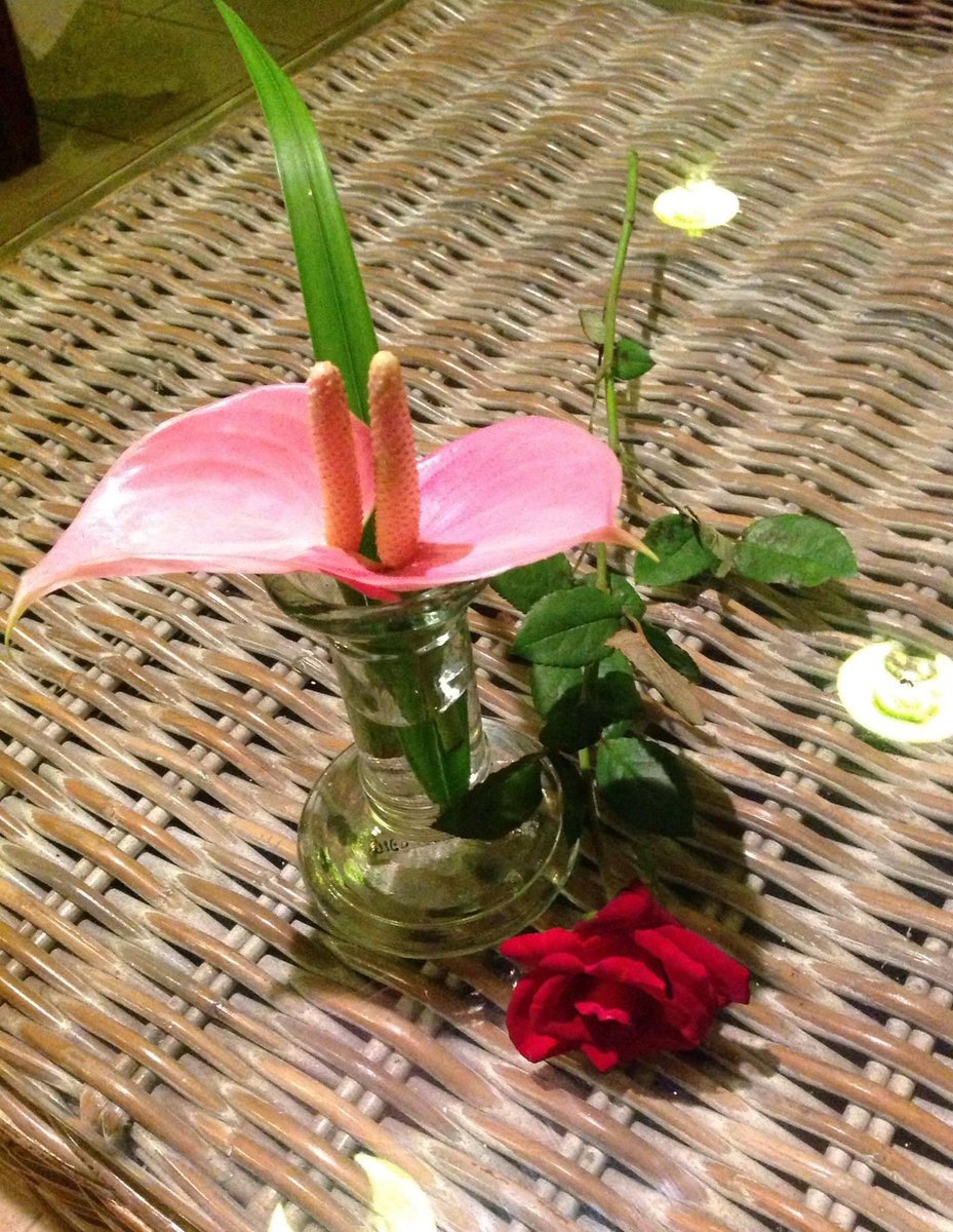 AnitaBacha's tweet photo. #ValentinesDay2022 #HappyValentinesDay 
@AnitaBacha @theydvaniket @MarinaOmkar @Joan45673297 @NituYumnam @zgrkc @hibiscus_hotel @surinder_punjab https://t.co/9URUBGdhy7