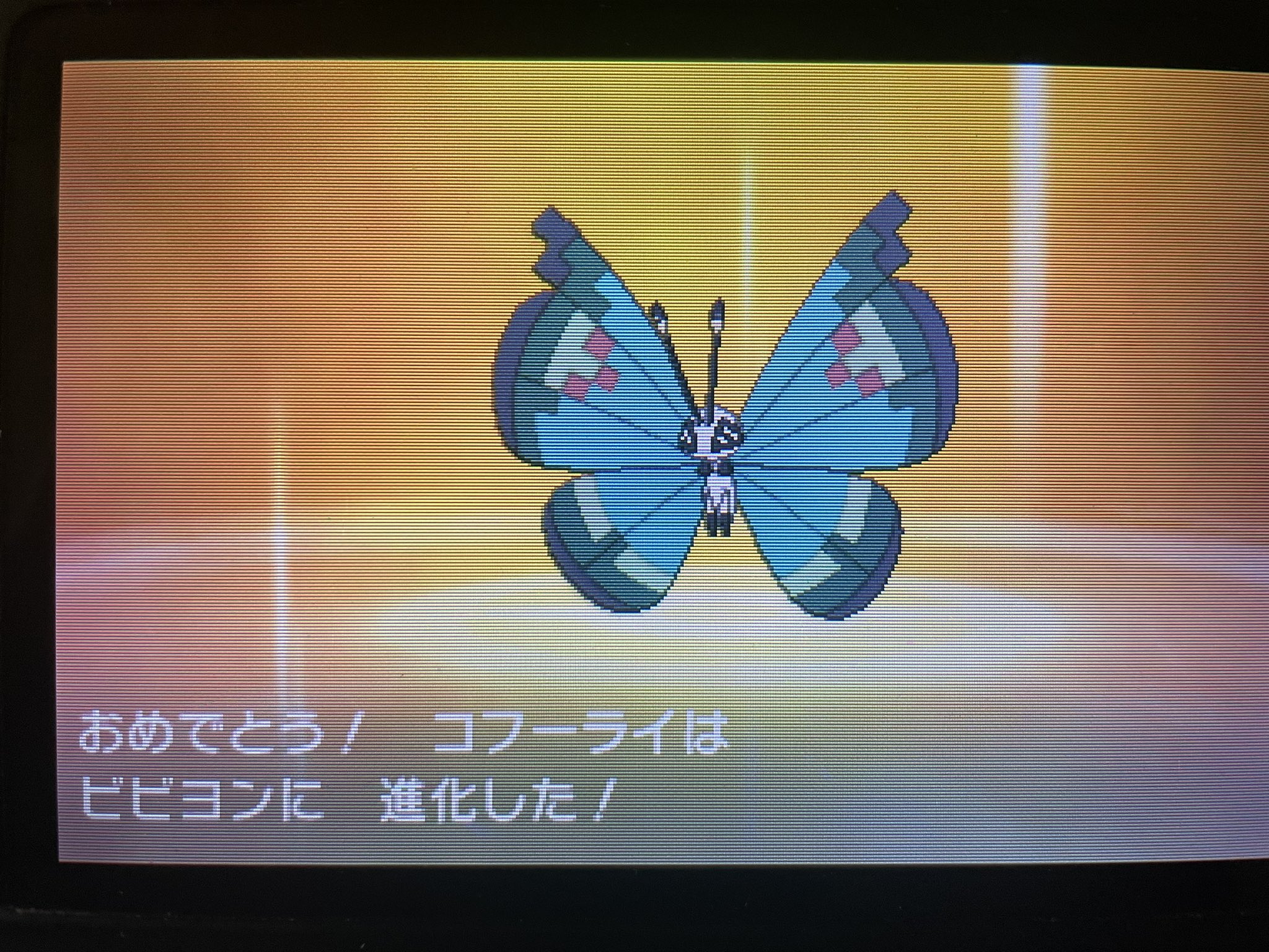 人になれてるm R Mr Shinypoke Twitter