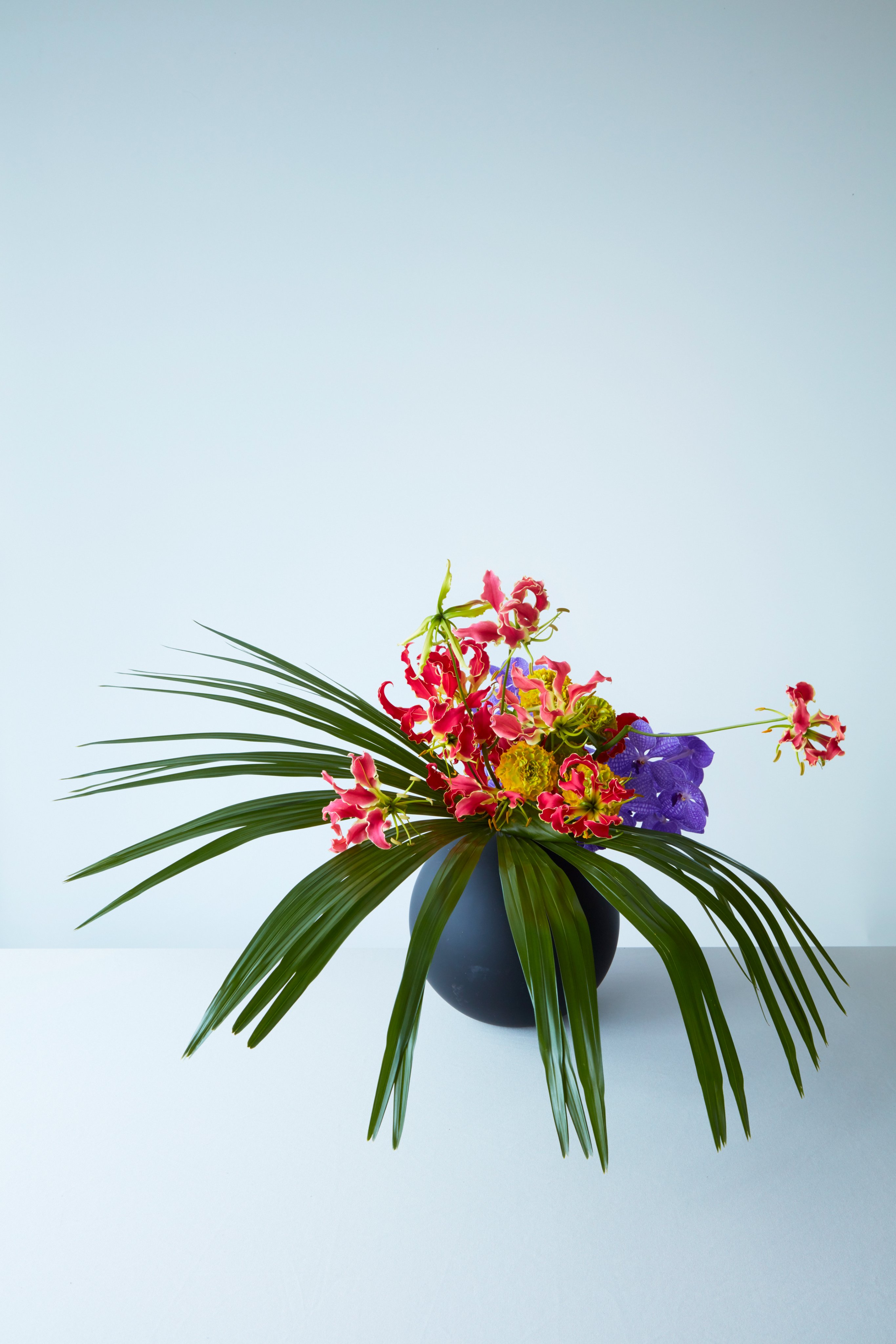 高知の花 Twitter Search Twitter