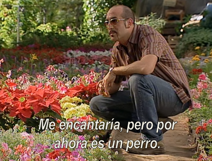 San Valentín.