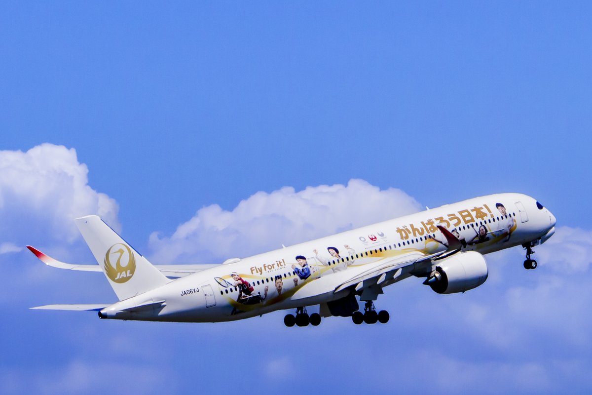 sakaki787's tweet photo. こんにちは🌞

飛行機撮影は青空背景に撮りたいですよね
ってことで過去に羽田デッキより青空背景で撮れた写真4枚とりあえず載せておきます。✈️📷

みなさん
午後からも良い一日をお過ごし下さい😊

#AIRDO  
#ANA 
#JAL 
#JA602A
#JA06XJ
#JA88AN
#JA702A
#過去pic https://t.co/iWEQrGADCG