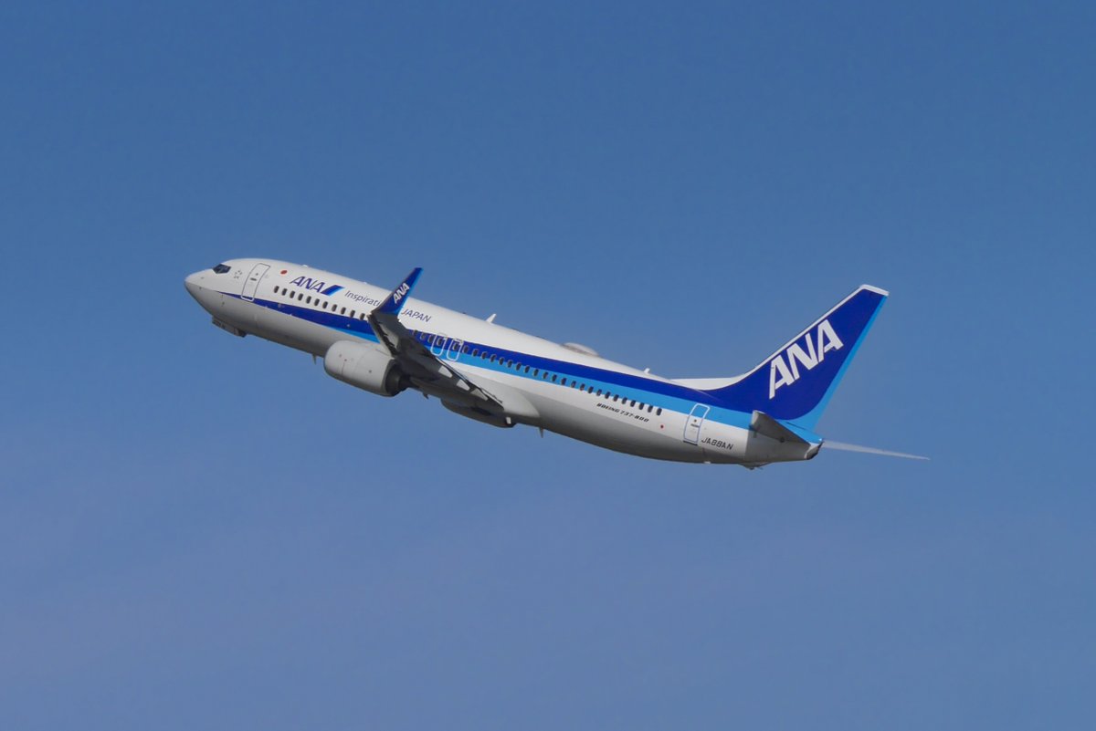 sakaki787's tweet photo. こんにちは🌞

飛行機撮影は青空背景に撮りたいですよね
ってことで過去に羽田デッキより青空背景で撮れた写真4枚とりあえず載せておきます。✈️📷

みなさん
午後からも良い一日をお過ごし下さい😊

#AIRDO  
#ANA 
#JAL 
#JA602A
#JA06XJ
#JA88AN
#JA702A
#過去pic https://t.co/iWEQrGADCG