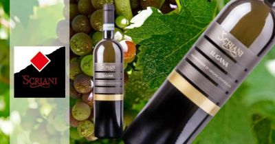 SiHappyInt's tweet photo. Our prized Lugana DOC 2018 is available online for only €9.90 - Azienda Agricola SCRIANI https://t.co/IVnx8eLnGo https://t.co/aOZFlG8bKk