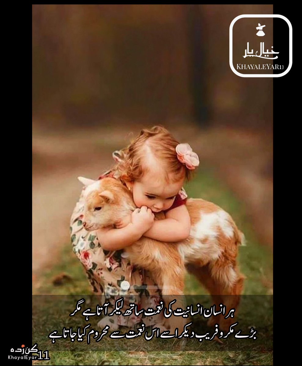 Muhammad Faysal (@faysal) on Twitter photo 