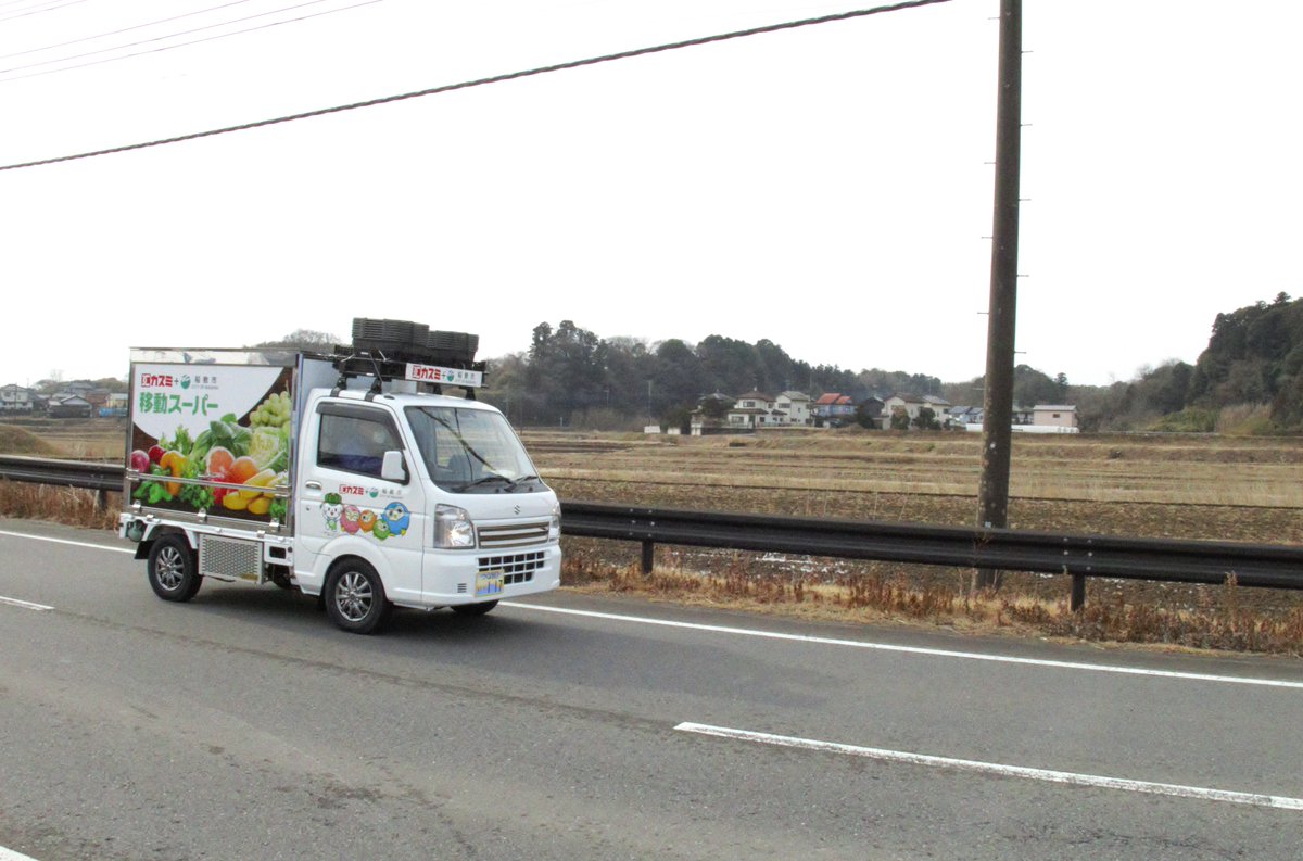 カスミちゃんさん用　まとめ売り あさみみちゃん】ぬいぐるみ 30cm – SimpleSideMascots