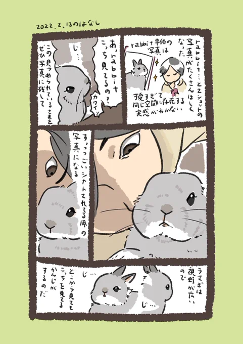 これは昨日のrabbit…
#うさぎのいる生活 