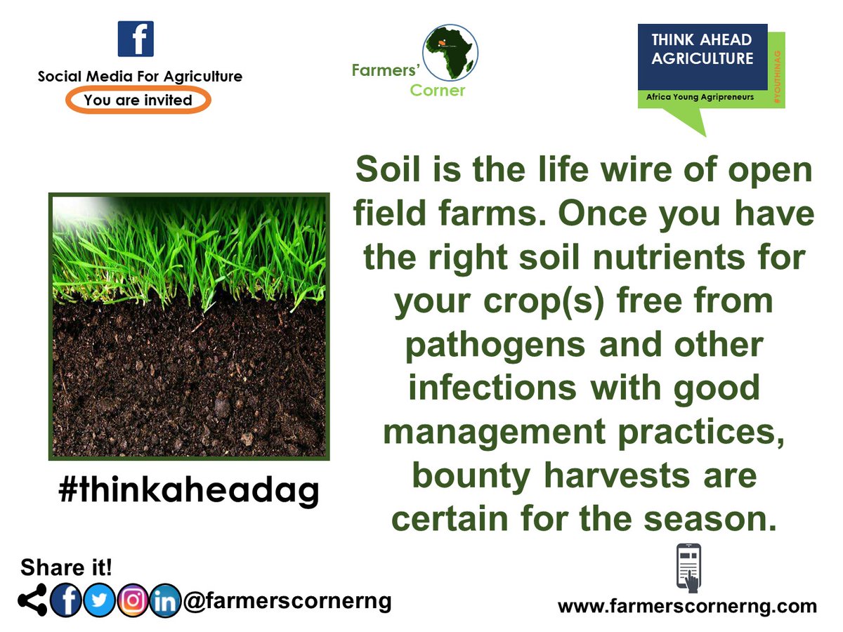 farmerscornerng's tweet photo. Soil is the life wire of open field farms. Once you have the right soil nutrients for your crop(s) free from pathogens and other infections with good management practices, bounty harvests are certain for the season.
Tag a farmer.#soil #lifewire #farms #foodcrops #farmerscornerng https://t.co/rTQM0UJNea