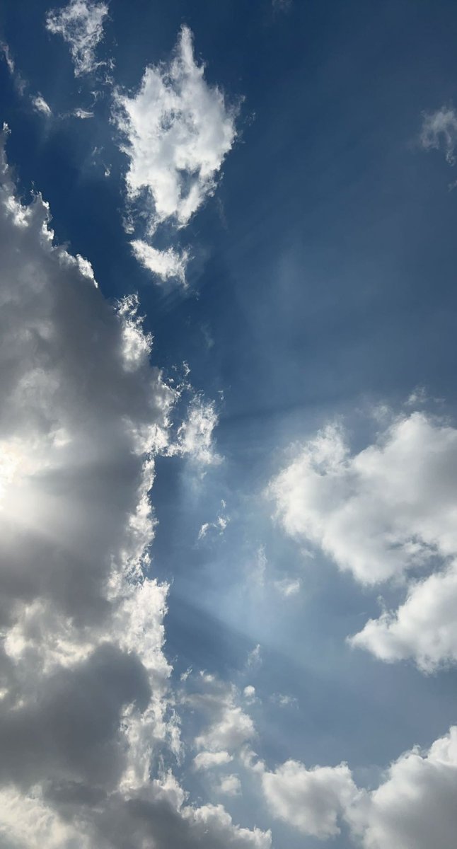 Malak Alghamdi. tweet media