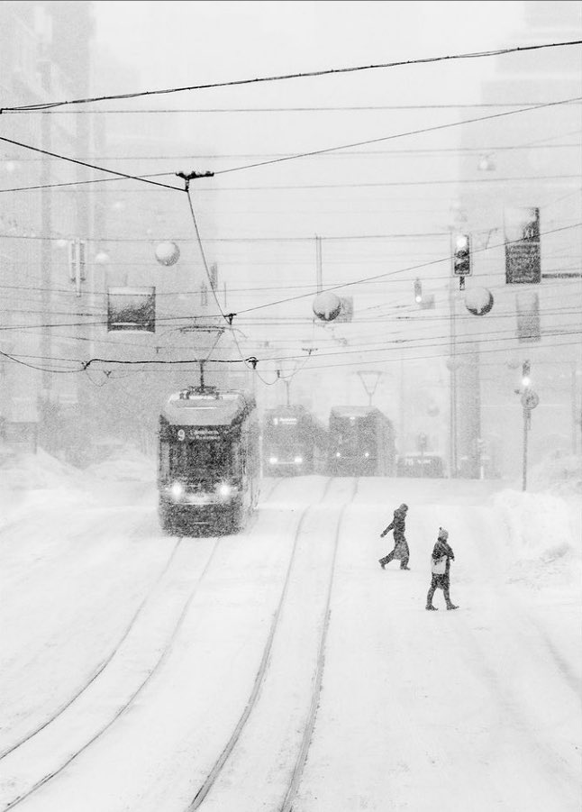 Futura_Noir's tweet photo. Blizzard ~ 𝘒𝘢𝘪 𝘡𝘪𝘦𝘩𝘭 https://t.co/3P4k91NYNY