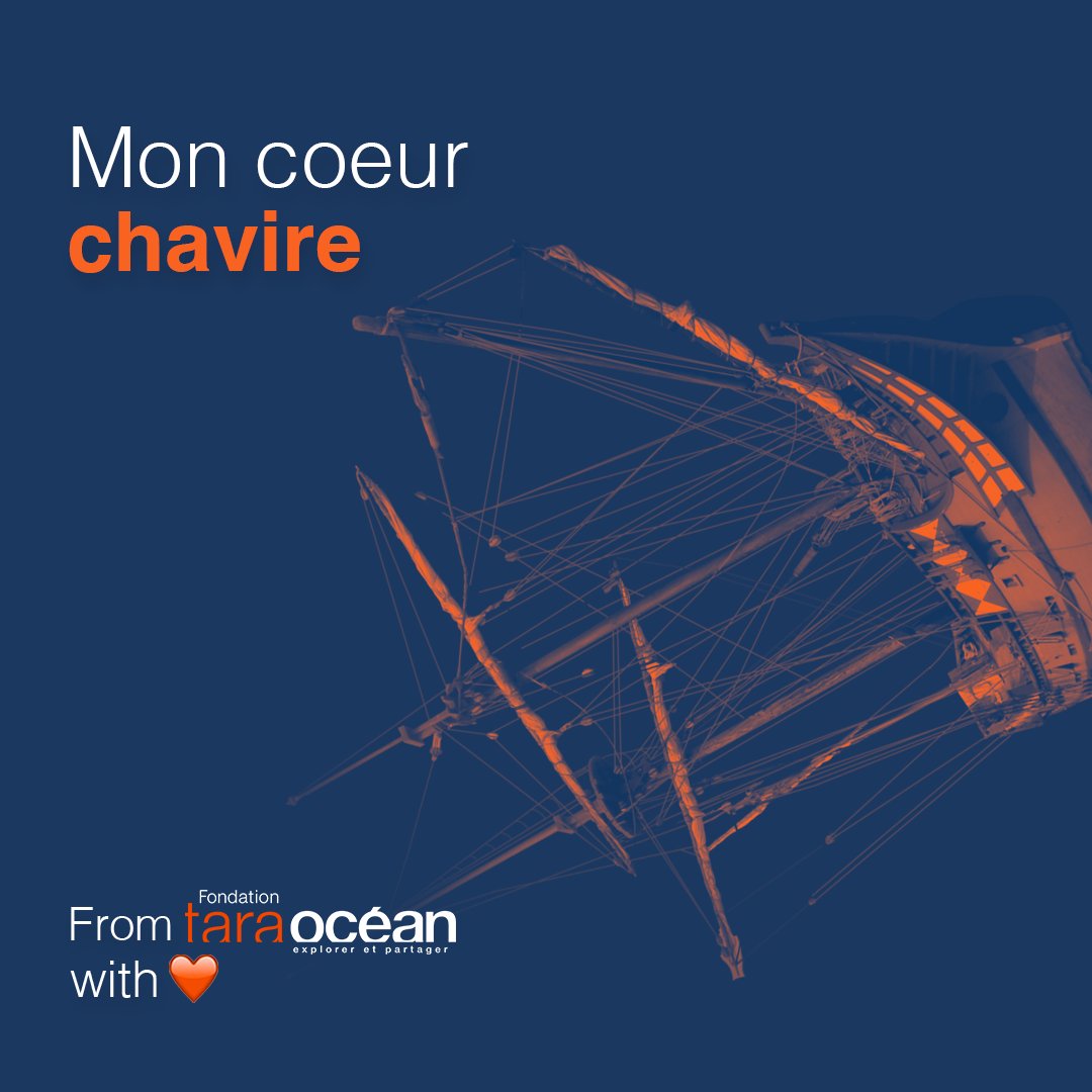 #SaintValentin 
💙 À l’occasion de la Saint-Valentin, nous faisons une déclaration d’amour à l’#Océan, parce qu’il joue un rôle essentiel dans la régulation du climat à l’échelle mondiale 🌍