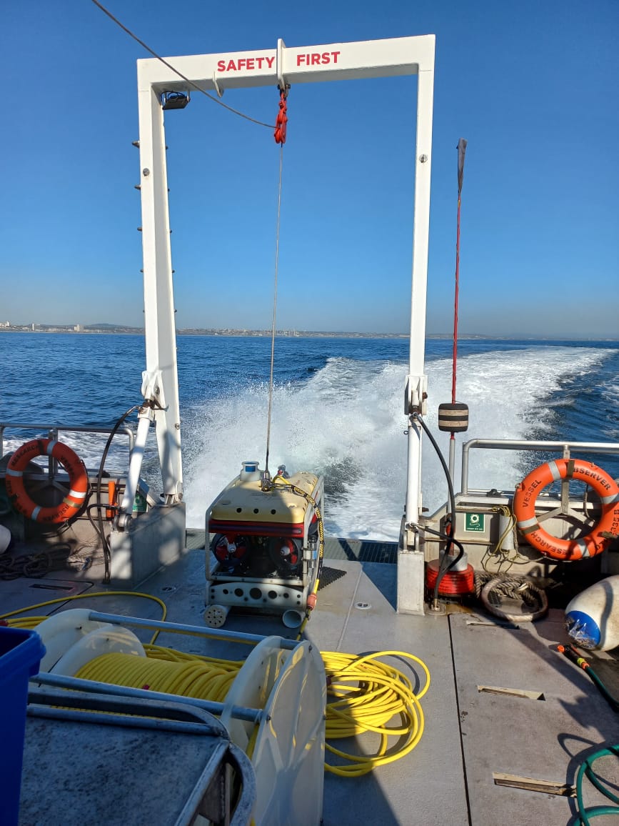 SMCRI_ZA's tweet photo. Great Friday celebrating International Day of Women &amp; Girls in Science. Sampling with the ROV off RV-Observer at Riy Banks in Algoa Bay at 60m. Finding the new bioactive compounds from sponges.
@SAEONews @DSIGovZA @NRF_News #SAEON #ElwandleNode #SMCRI #WomenInScience @NRF_SAIAB https://t.co/wNAcLf5LKl