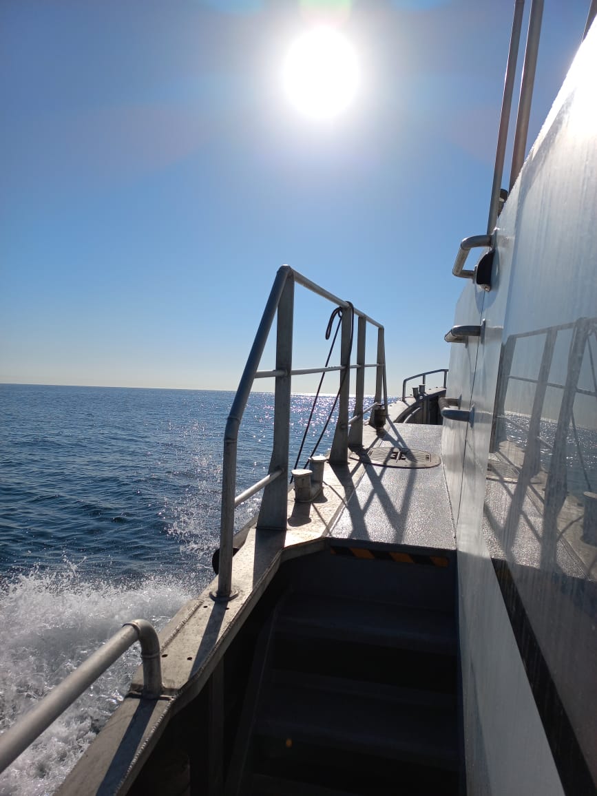 SMCRI_ZA's tweet photo. Great Friday celebrating International Day of Women &amp; Girls in Science. Sampling with the ROV off RV-Observer at Riy Banks in Algoa Bay at 60m. Finding the new bioactive compounds from sponges.
@SAEONews @DSIGovZA @NRF_News #SAEON #ElwandleNode #SMCRI #WomenInScience @NRF_SAIAB https://t.co/wNAcLf5LKl