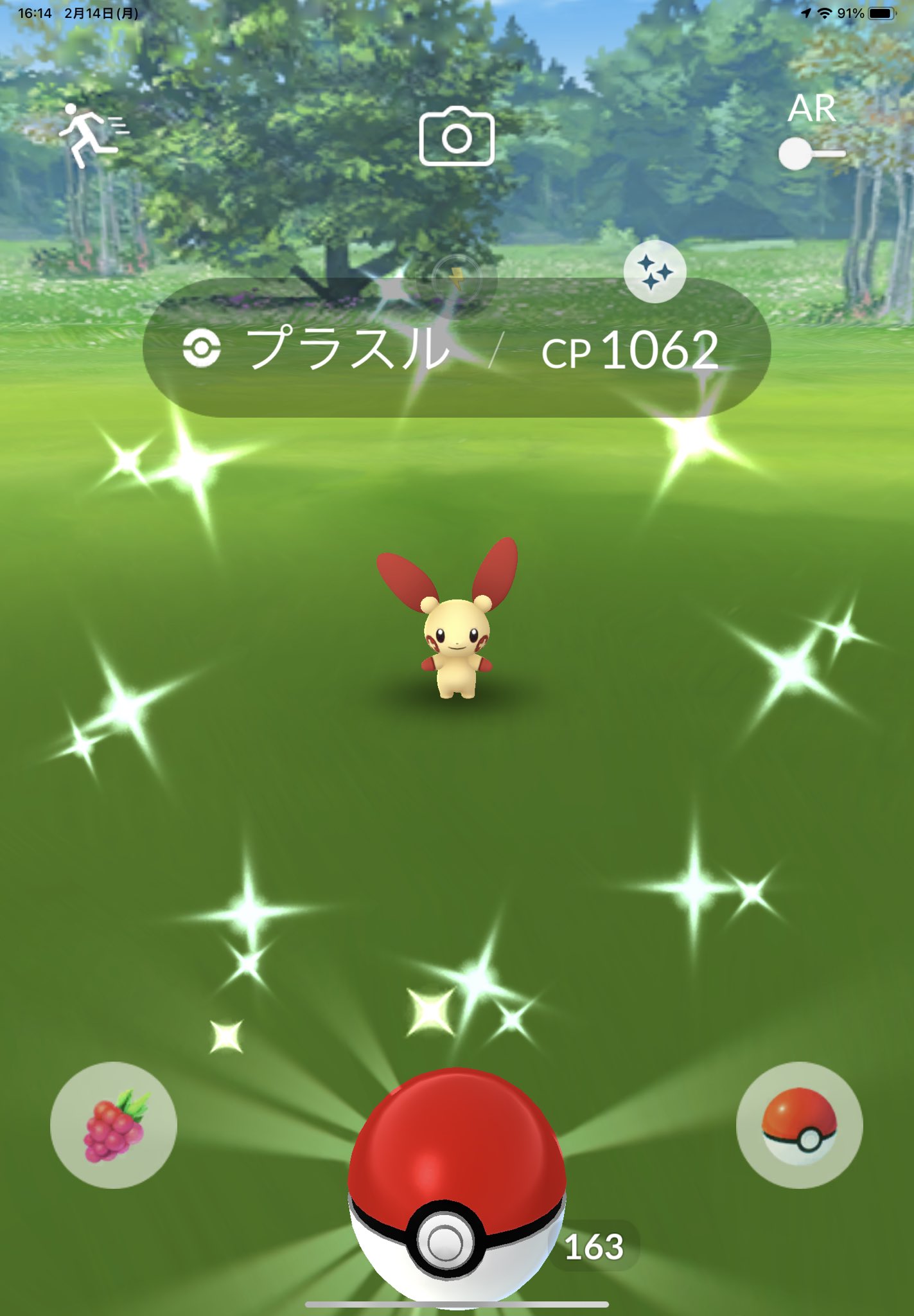 こうた プラスルの色違い捕まえました ポケモンgo 色違い T Co Yejfnr7eby Twitter