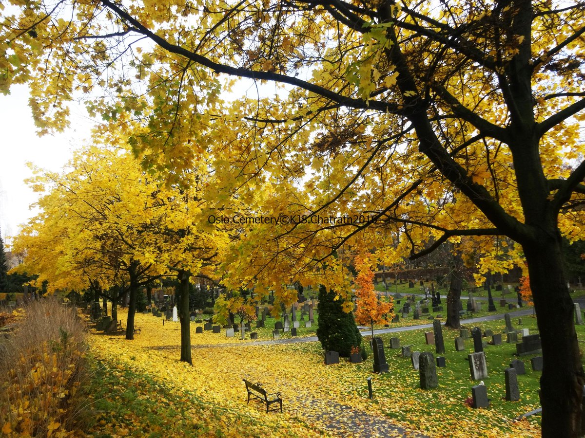 j_chatrath's tweet photo. A final resting place to die for! Oslo Cemetery, Norway. https://t.co/gHXT0eTD1B