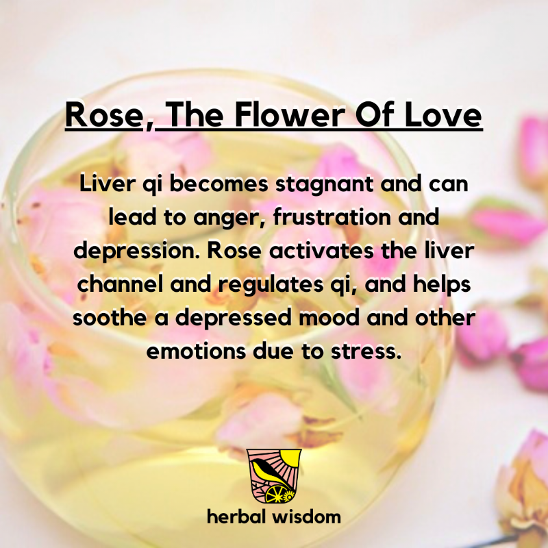 GoodTeaGoodDay's tweet image. It’s Valentine’s Day! Brew a cup of rose #tea. When we feel stressed &amp;amp; can't relieve it properly, liver qi becomes stagnant &amp;amp; lead to anger, frustration &amp;amp; depression. Rose activates the liver channel &amp;amp; regulates qi, &amp;amp; helps soothe a depressed mood &amp;amp; other emotions due to stress.