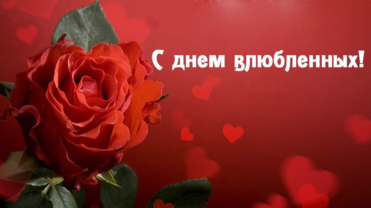Иван (@dionis358) on Twitter photo 