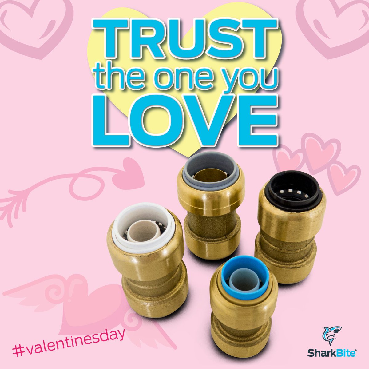 A state of love and trust...SharkBite Push-To-Connect fittings have always got you at heart. Happy Valentine's Day.

#valentinesday2022 #nothingbeatstheshark #SharkBiteAustralia