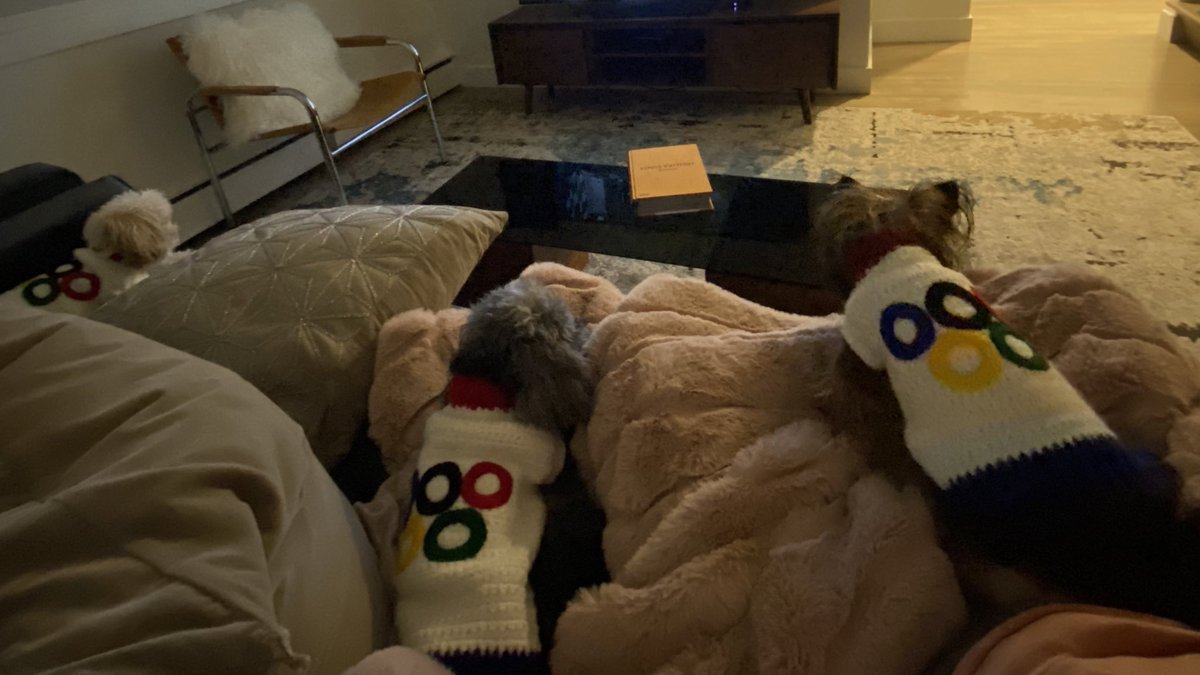 <a href="/TeamPetersonUSA/">Team Peterson</a> ‘s biggest (canine) fans! Excited for another big win. <a href="/LP_105/">Laine Peters</a> #OlympicGames #Curling