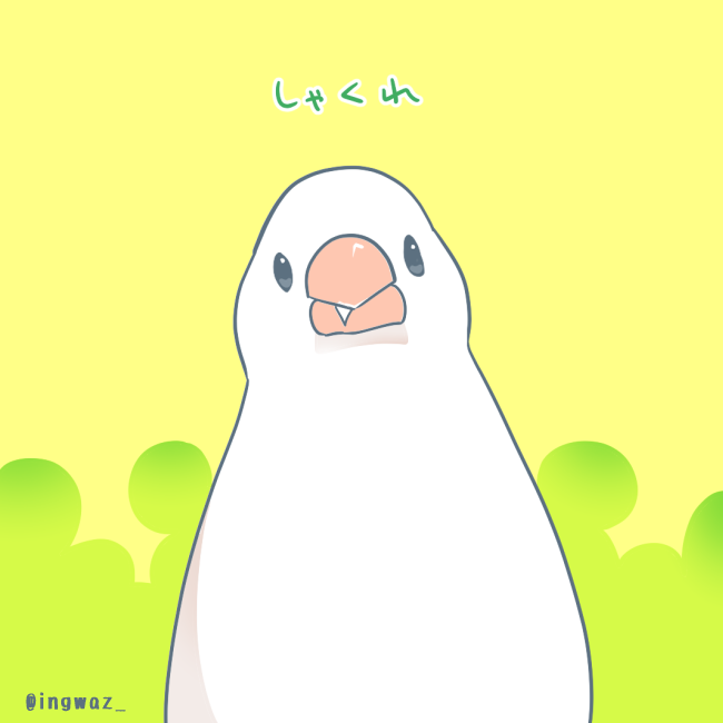 「#Buncho #javasparrow #文鳥 」|文/ 新木南生のイラスト