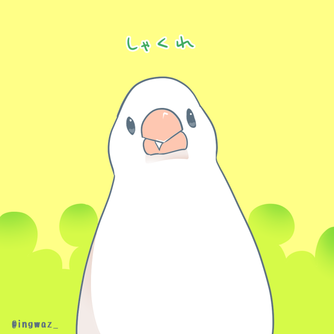#Buncho #javasparrow #文鳥 