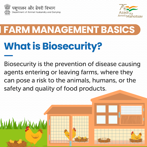 ⚠ Biosecurity protocols must be in place at all times as taking the right measures in the early stages of an outbreak helps prevent or reduce the spread. 

#AmritMahotsav #PoultryFarming #AnimalHealth #AnimalWealth