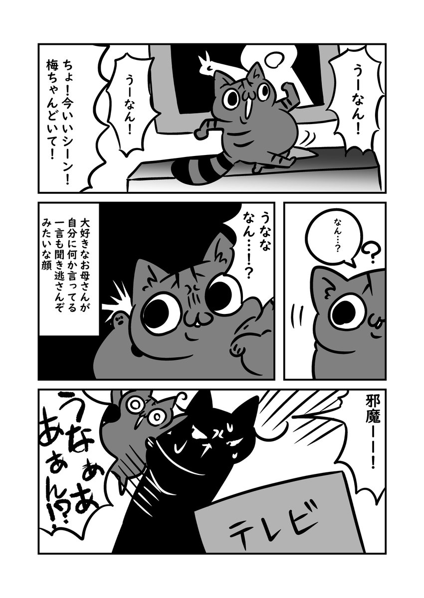 日記再掲 実家猫の妖怪練り歩きこと梅ちゃん 