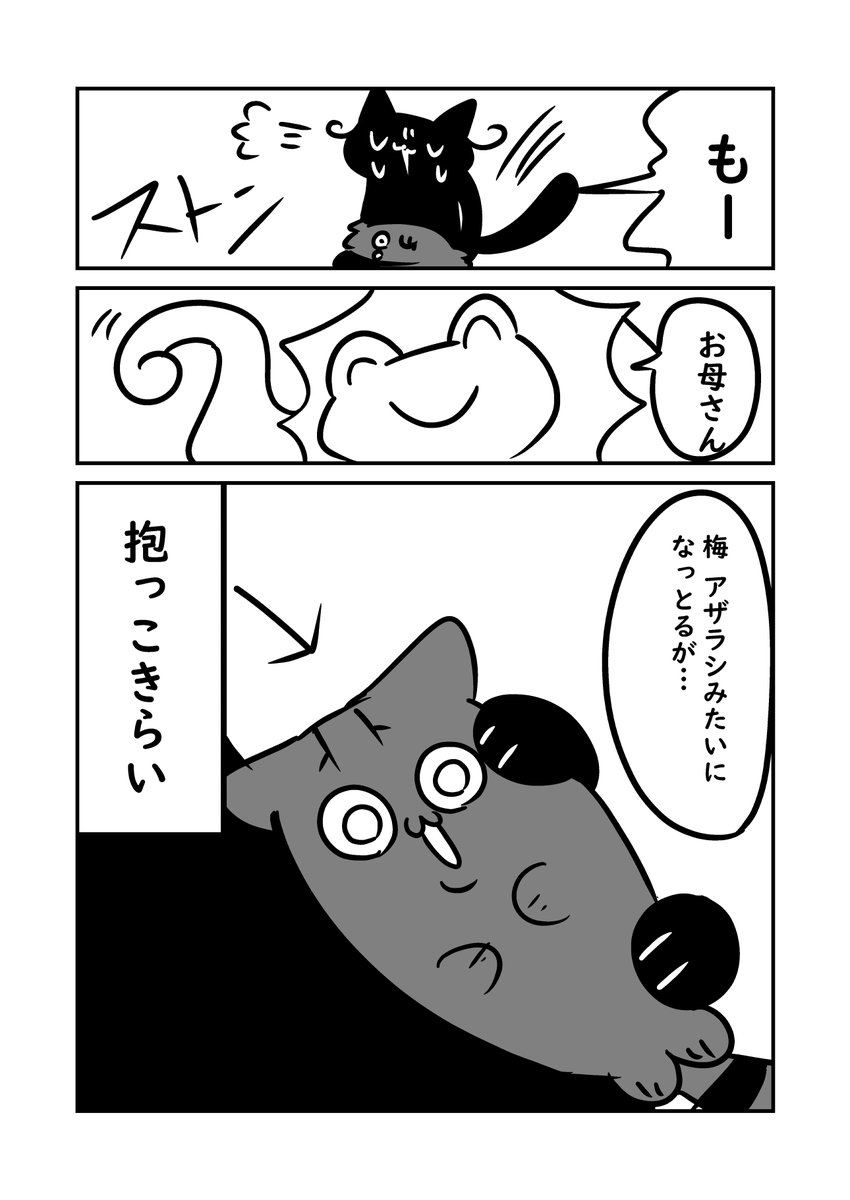 日記再掲 実家猫の妖怪練り歩きこと梅ちゃん 