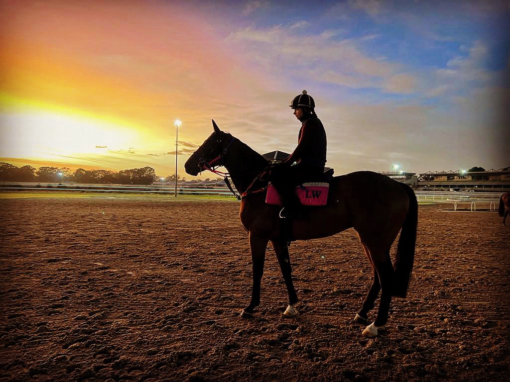 lauri_racing's tweet photo. A beautiful sunrise to start to the week 🌞 https://t.co/O7eBdkIu92