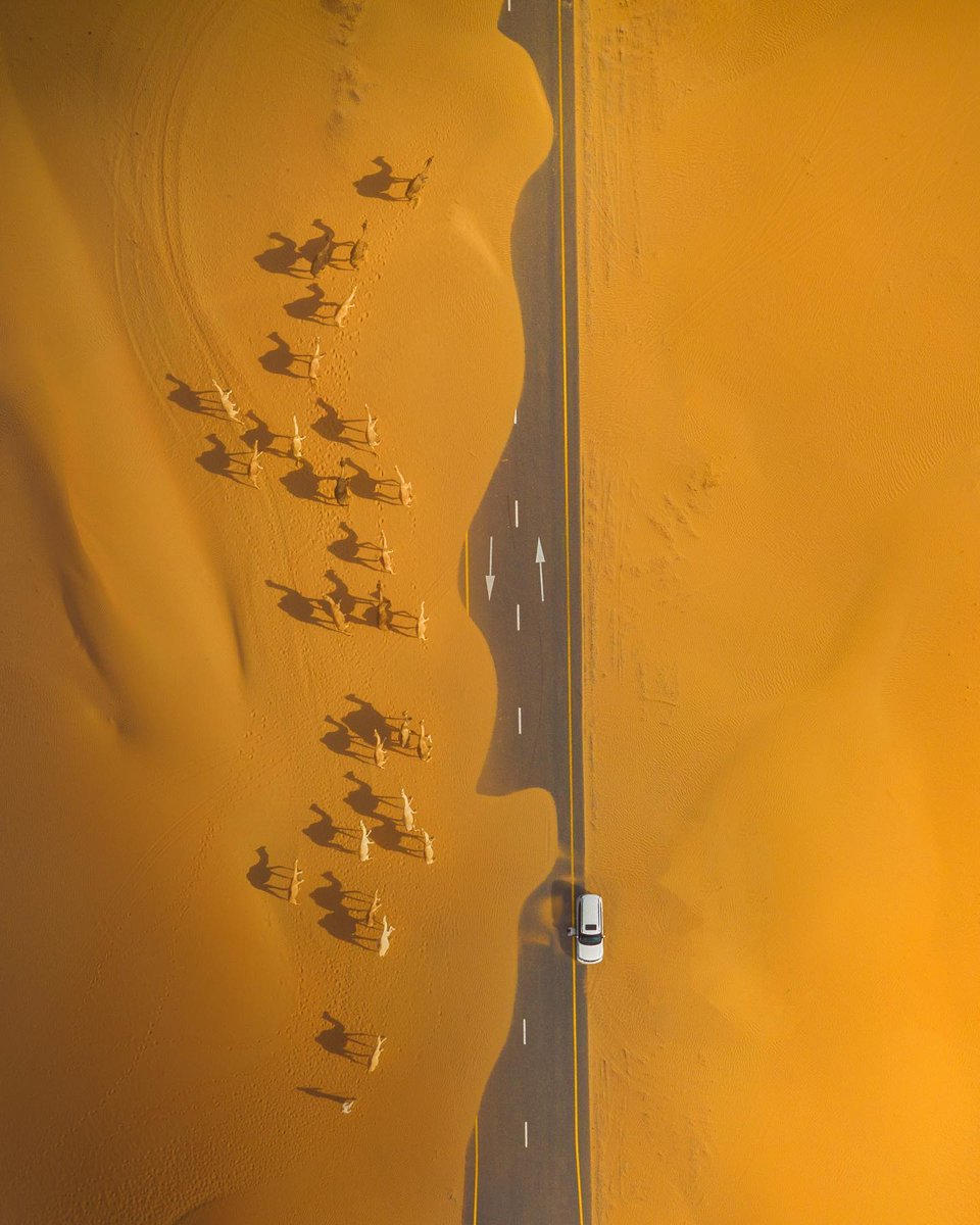 IoriTosa2's tweet photo. 📷 © Abdulla Albuqaish    عبدالله البقيش

Dubai, Arabia

" Shadow "　

When Dubai traffic gets in the way ! 🐪🚗🐪🚗🐪🚗
. https://t.co/Nsv5AwR6En