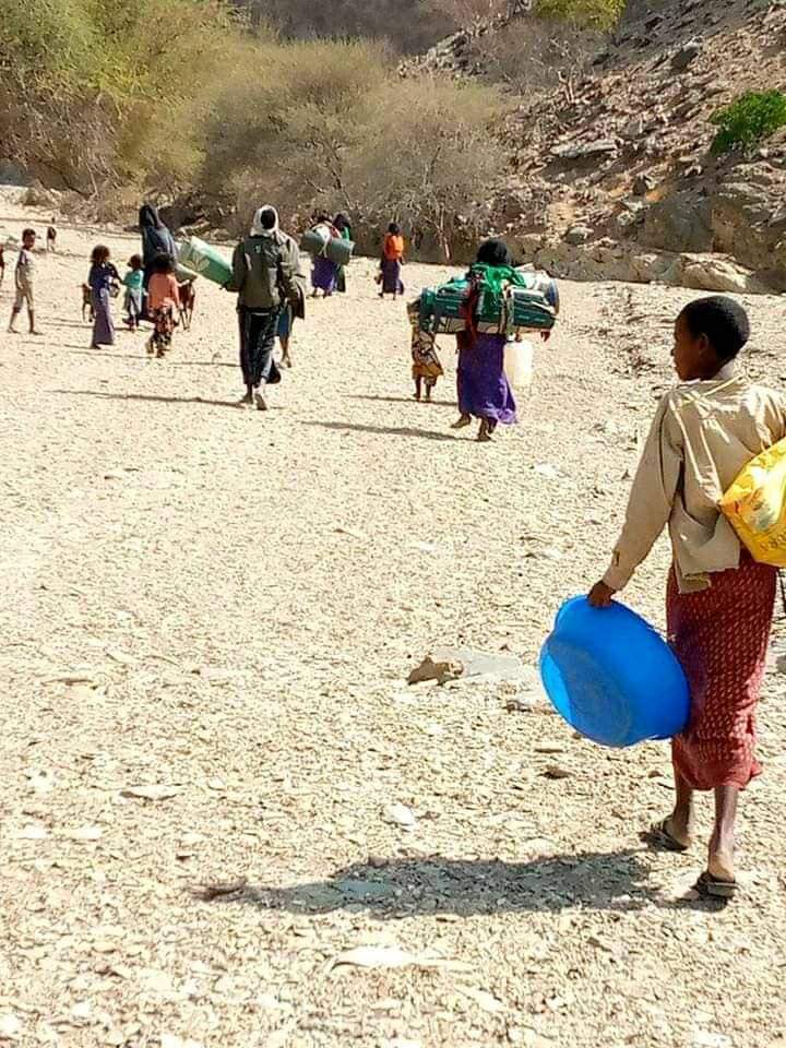 AcmadAdamQafar1's tweet photo. #AfarGenocide #AfarUnderAttack #AfarMassacre https://t.co/PTvphvR3tw