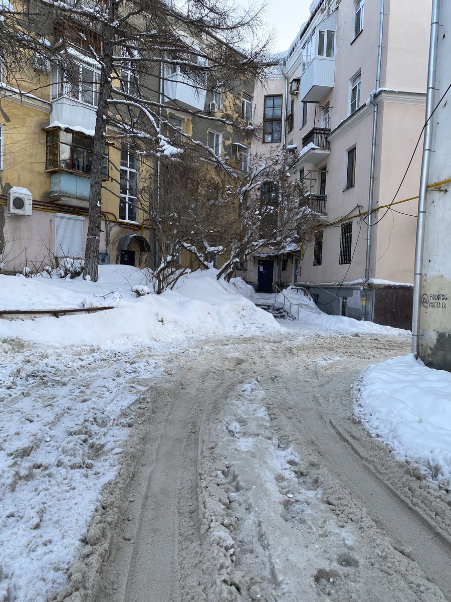 Ilya Che tweet media