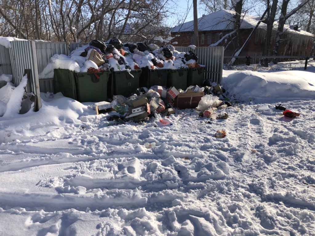 Константин Жеребцов tweet media