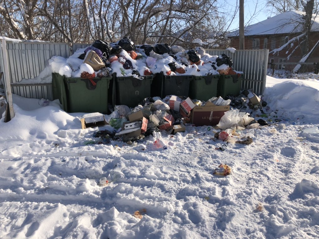 Константин Жеребцов tweet media