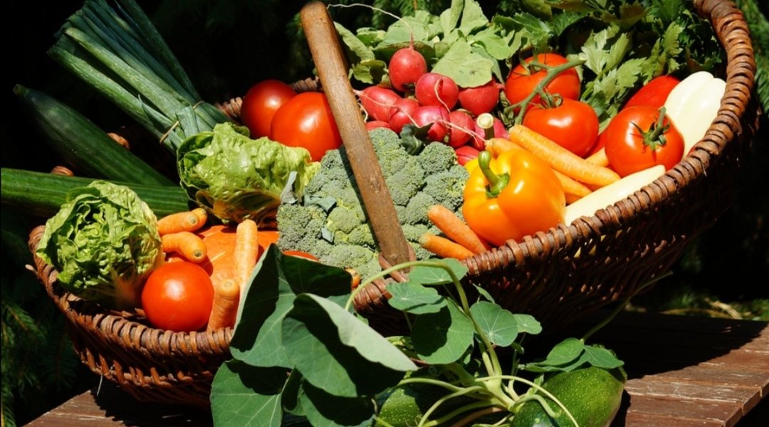 Tasty vegetables. Овощи и зелень. Корзинка с овощами. Овощи на столе. Свежие овощи.