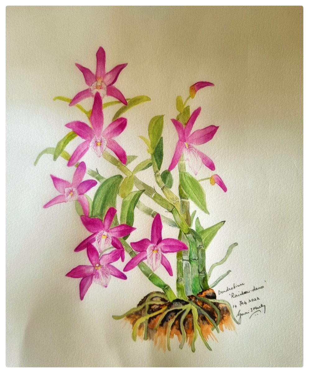 Dendrobium Raimbow dance

Watercolour on paper.
#winsorandnewton #bockingford 

From the garden of Dr Shakuntala Manay

#orchid #rarebeauty #rareflowers  #watercolourpainting #watercolour #painting #weekend   #dendrobium