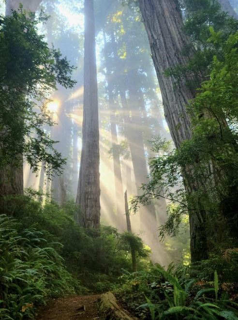 Emily S. Davidson (@esd108) on Twitter photo 