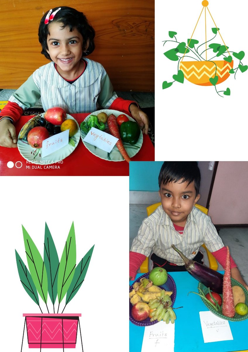 SchoolArun's tweet photo. We know a great way 
To start our day
With fruits and vegetables
Everyday on our table. 
The nursery children have sorted fruits and vegetables, as things we get from plants.

#ans #arunnurseryschool #kids #funactivities https://t.co/9v67XDtPLO