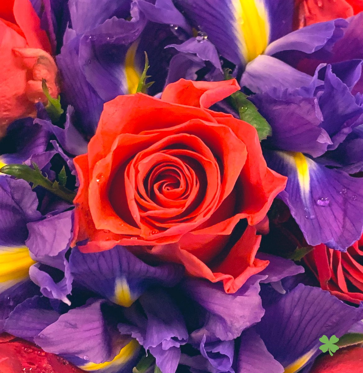 Happy Valentine's Day 🍃