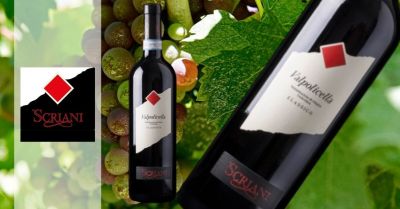 SiHappyInt's tweet photo. Our prized Valpolicella DOC Classico 2019 is available online for only €7.90 - Azienda Agricola SCRIANI https://t.co/6TMInuUHFM https://t.co/B6HeVkQpOW