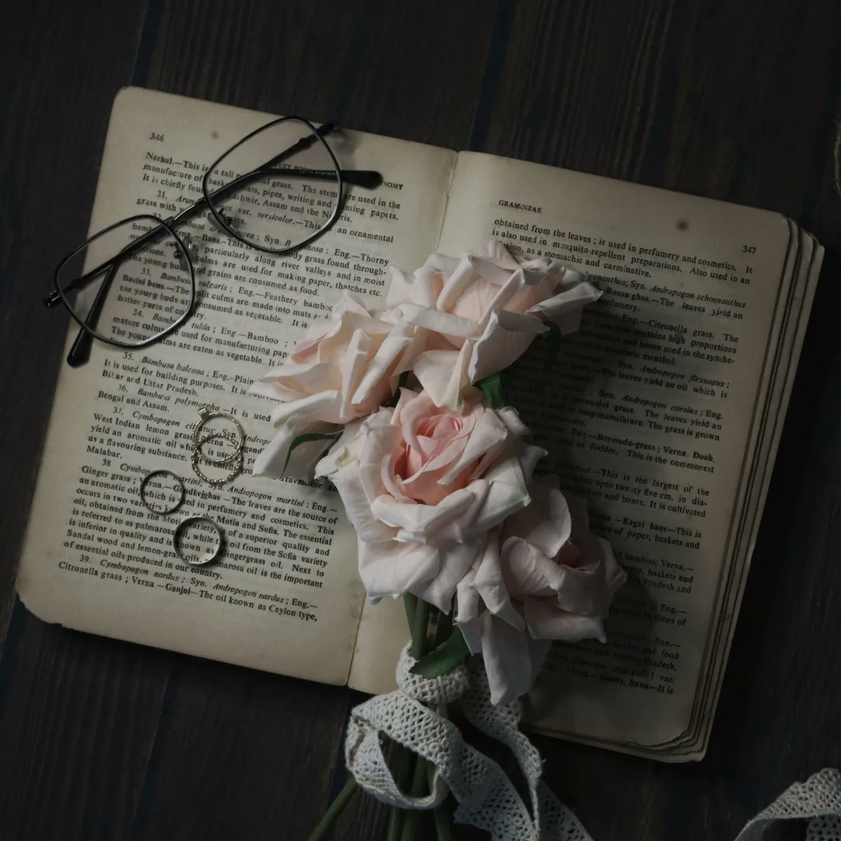 Toobafatima29's tweet photo. ♥️😇

#capturedoncanon @Canon_India https://t.co/nOABFIQMIS