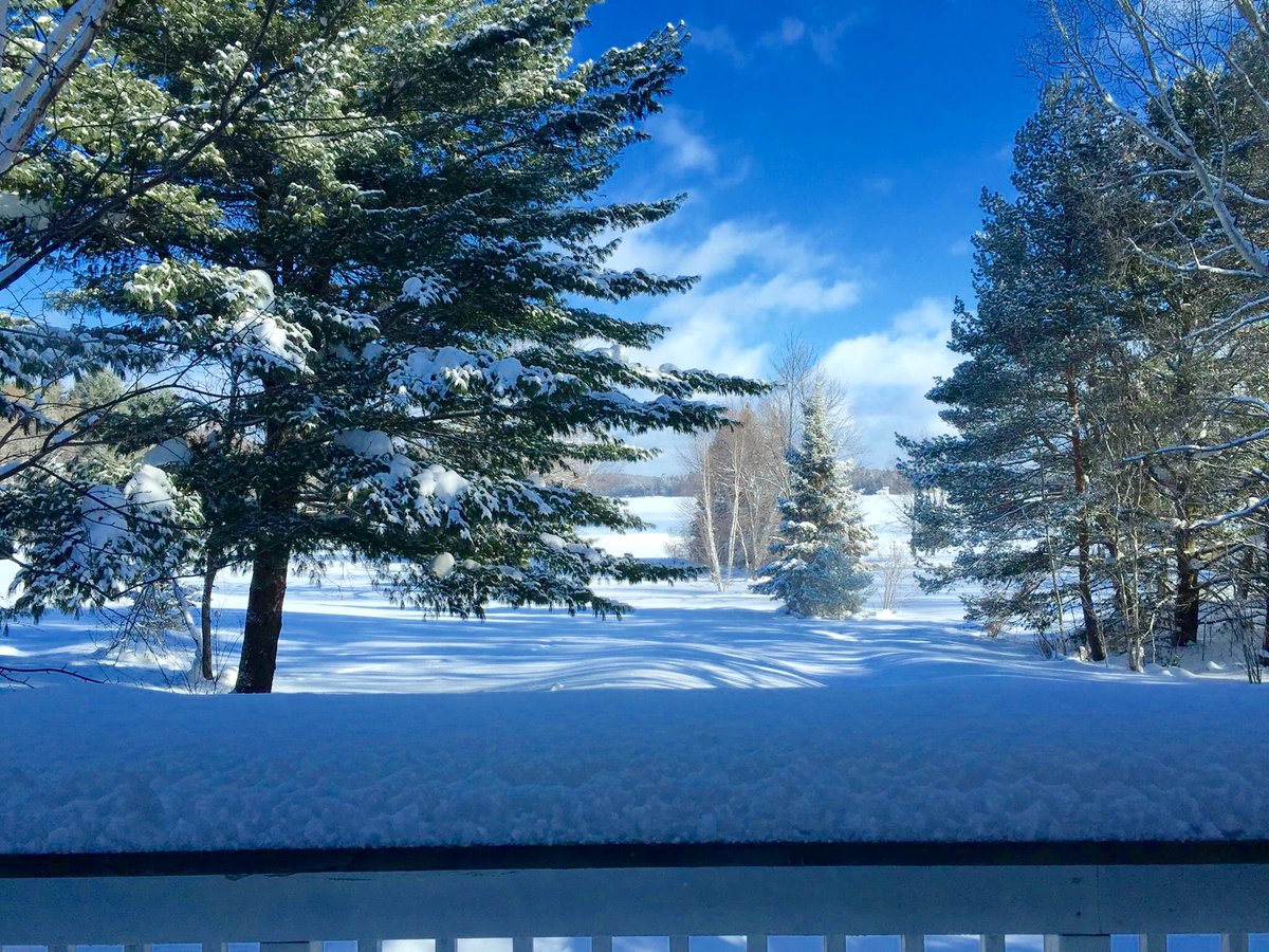 MuskokaBirch's tweet photo. Here's what you can expect @MuskokaBirch in #muskokawinter #FamilyDay #familydayweekend #familyday2022 #familydayvacation Book by Feb. 17/22 noon. https://t.co/Sha8mBL2Em