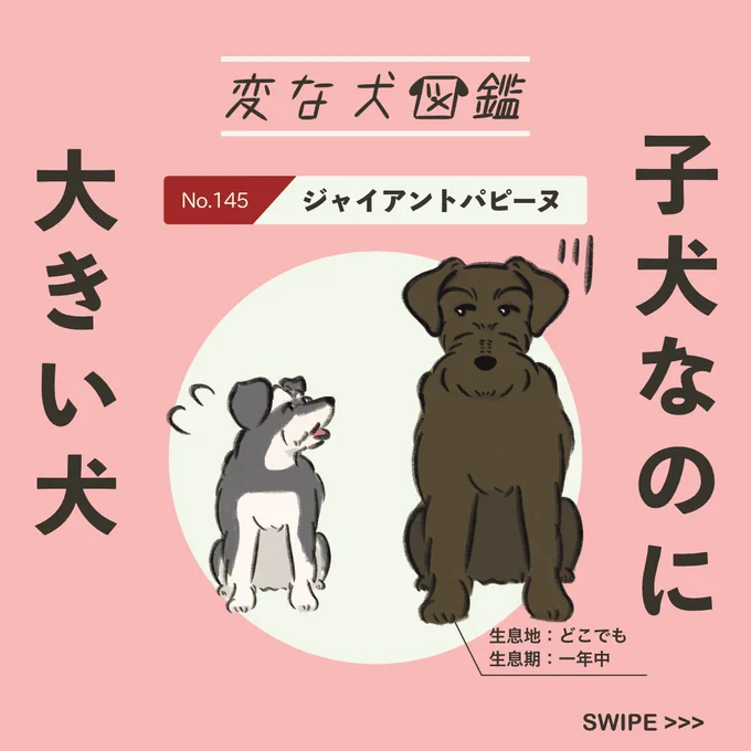 【変な犬図鑑】
No.145 ジャイアントパピーヌ
子犬なのに体が大きいあの犬です。 
