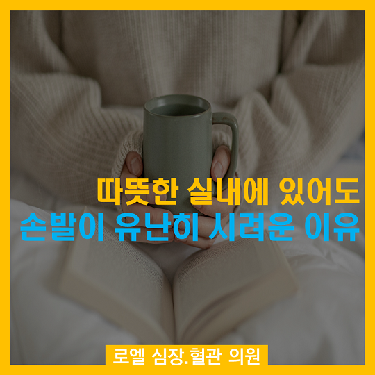 원인이 많네요~ 참고하세요! <따뜻한 실내에 있어도 손발이 유난히 시려운 이유 있나요> #심장혈관전문의 #로엘의원 #수족냉증  naver.me/5JPCTSWt