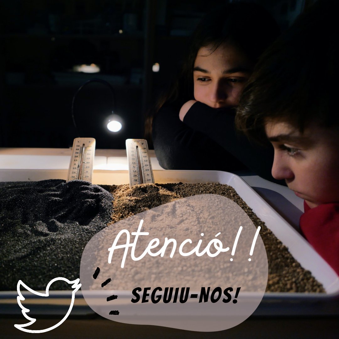Sabeu que els infants de l’Escola Tanit portem mesos🔍investigant❓ En els propers dies🗓 anireu descobrint els resultats 📊de tots els nostres projectes. Tenim molt per explicar-vos. Cal actuar ja❗ 👉Seguiu-nos i no us ho perdeu🧐‼ #PortesObertesTanit2022