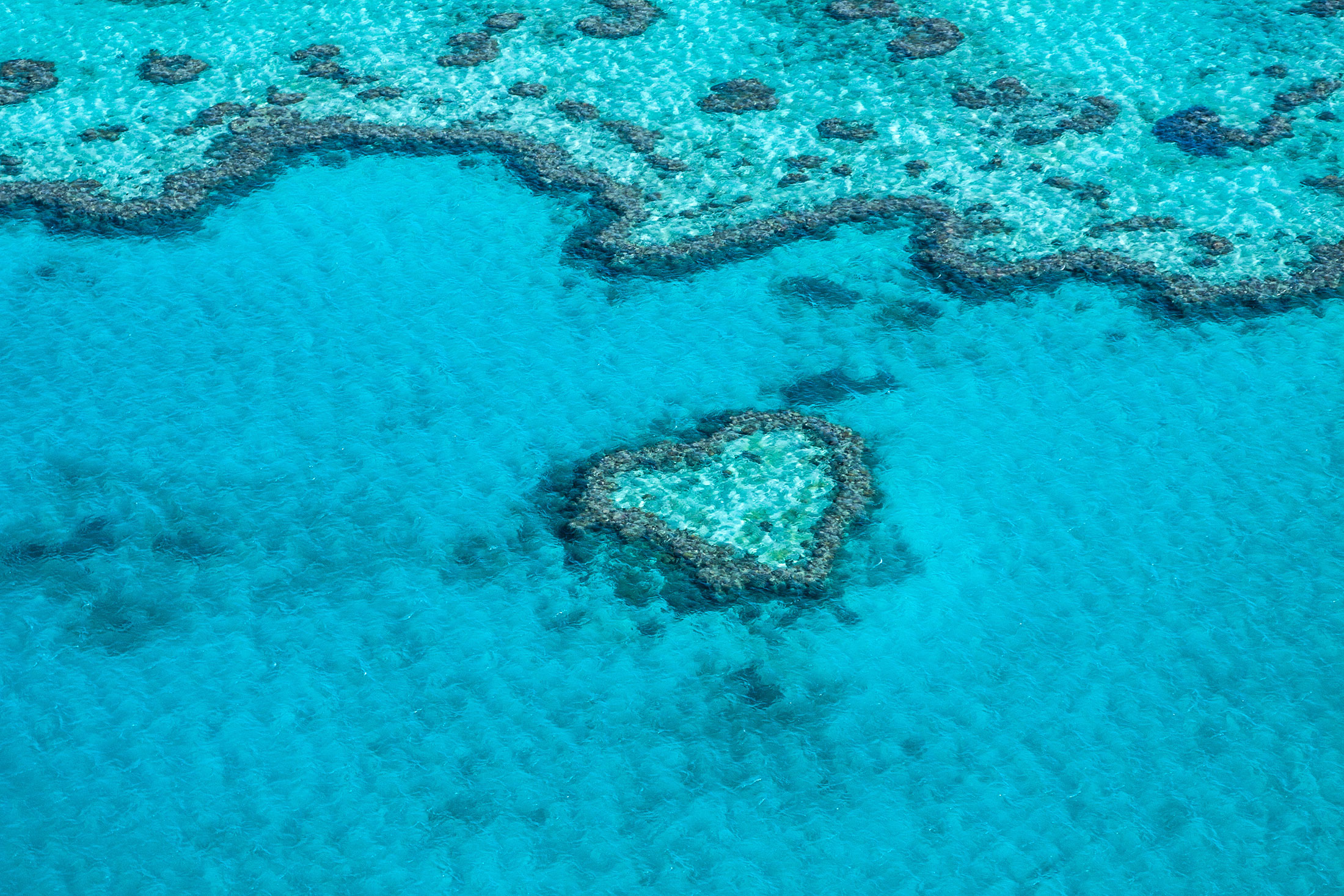 海外 国内旅行 エス ティー ワールド 2月14日の今日は バレンタインデー ですね 世界のハートスポットをご紹介 タヒチ ツパイ島 オーストラリア グレートバリアリーフ 屋久島 ウィルソン株 クロアチア ガレシュニャク島 T Co