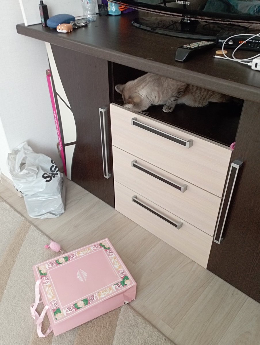 mistressofcat's tweet photo. Картина в двух актах https://t.co/XrFpehKtJJ